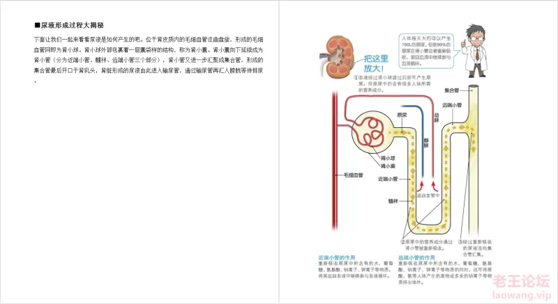 微信截图_20220619165646.png