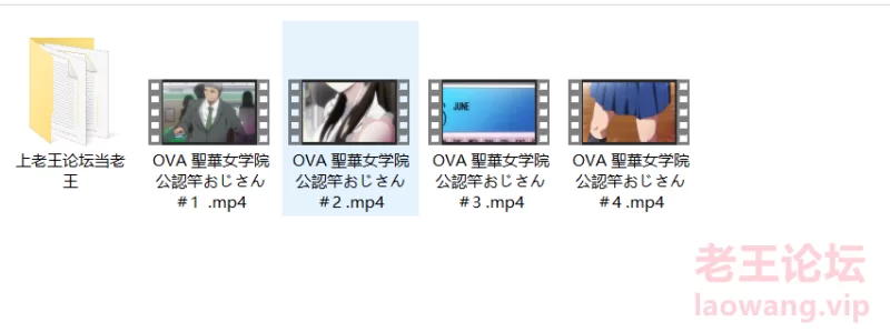 OVA 聖華女学院公認竿おじさん.jpg